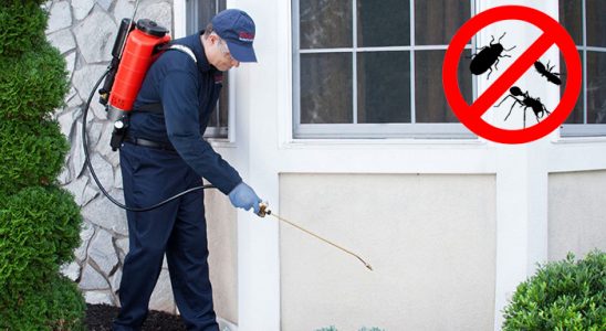 Bozyaka Pire İlaçlama böcek ilaçlama ve haşere kontrolü — ilaclama-tr.com
